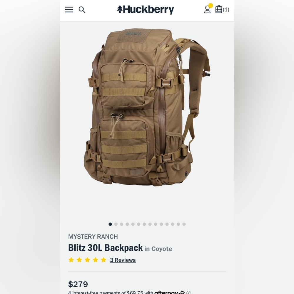 Never used Mystery Ranch Blitz 30L (L/XL) in Coyote.